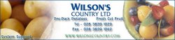 Wilson's country logo